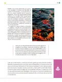 Miniatura página 94 de Colección Ximhai. Ética, naturaleza y sociedades.   Libro de Educación Telesecundaria Grado 1°  Ciclo Escolar 2025 - 2026