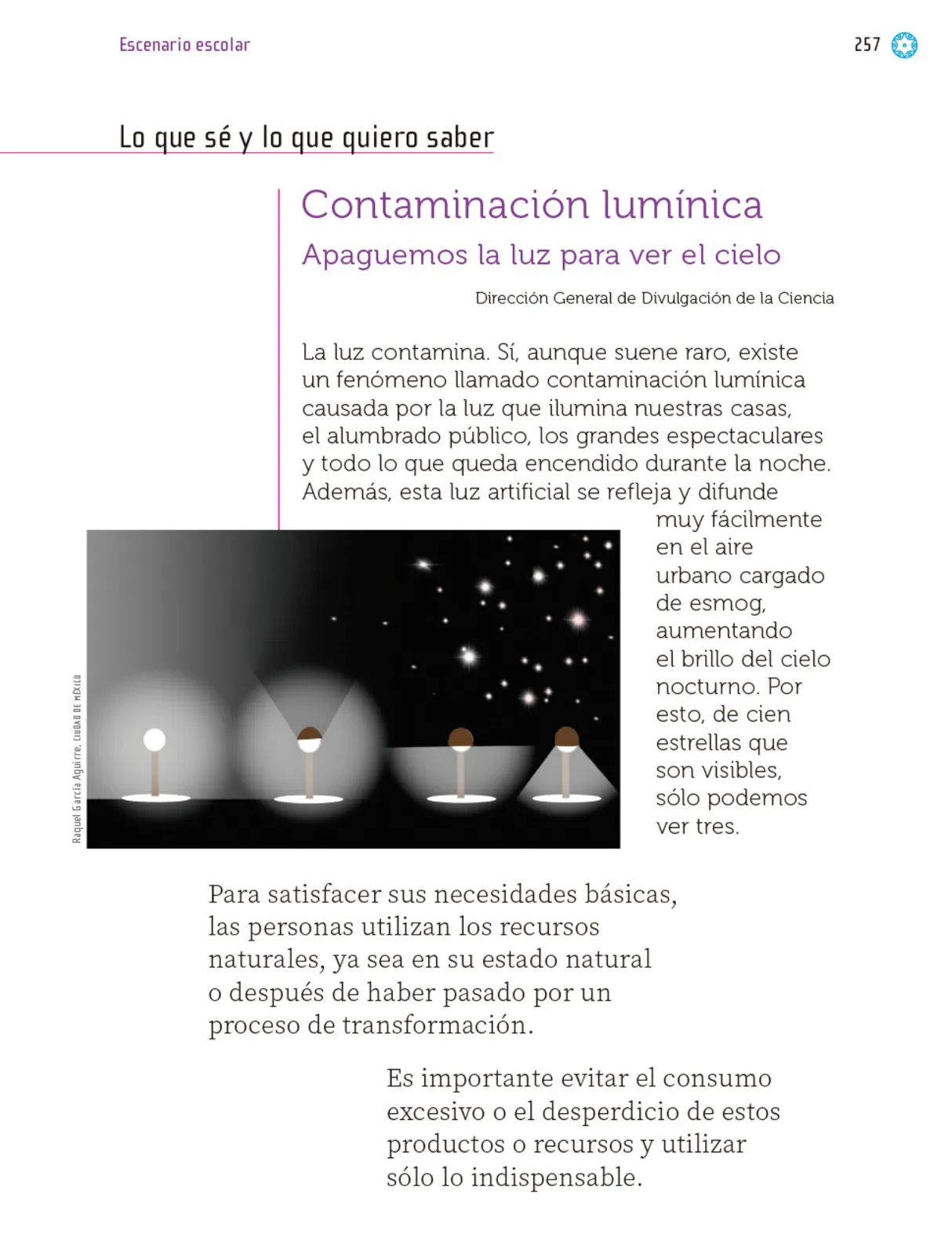 Miniatura página 258 de Proyectos Escolares.   Libro de Educación Primaria Grado 1°  Ciclo Escolar 2025 - 2026