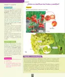 Miniatura página 155 de Ciencias Naturales – Primero Básico | Texto del Estudiante (MINEDUC) – Descargar PDF · 2024