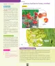 Miniatura página 155 de Ciencias Naturales – Primero Básico | Texto del Estudiante (MINEDUC) – Descargar PDF · 2024