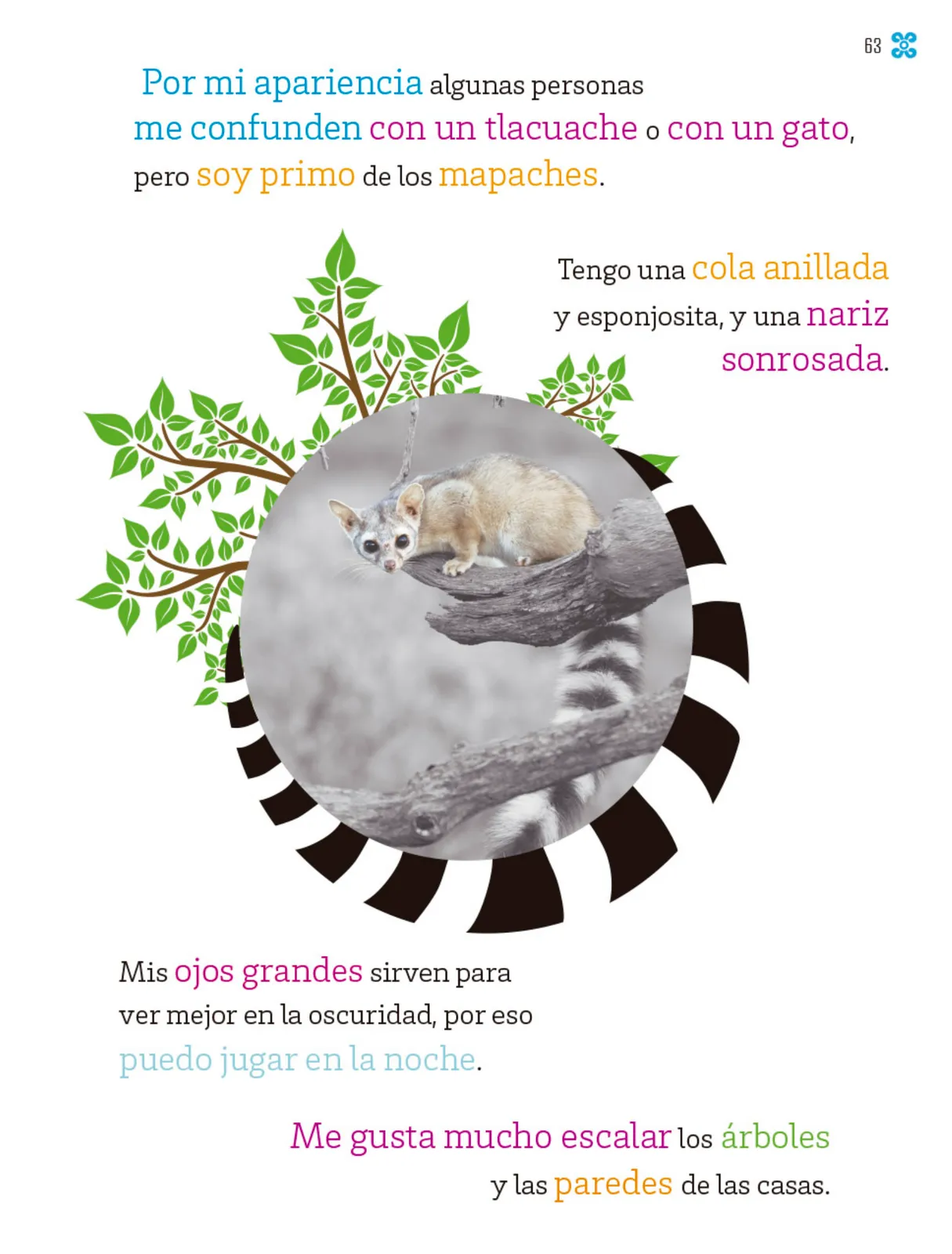 Miniatura página 64 de Múltiples lenguajes.   Libro de Educación Primaria Grado 1°  Ciclo Escolar 2025 - 2026