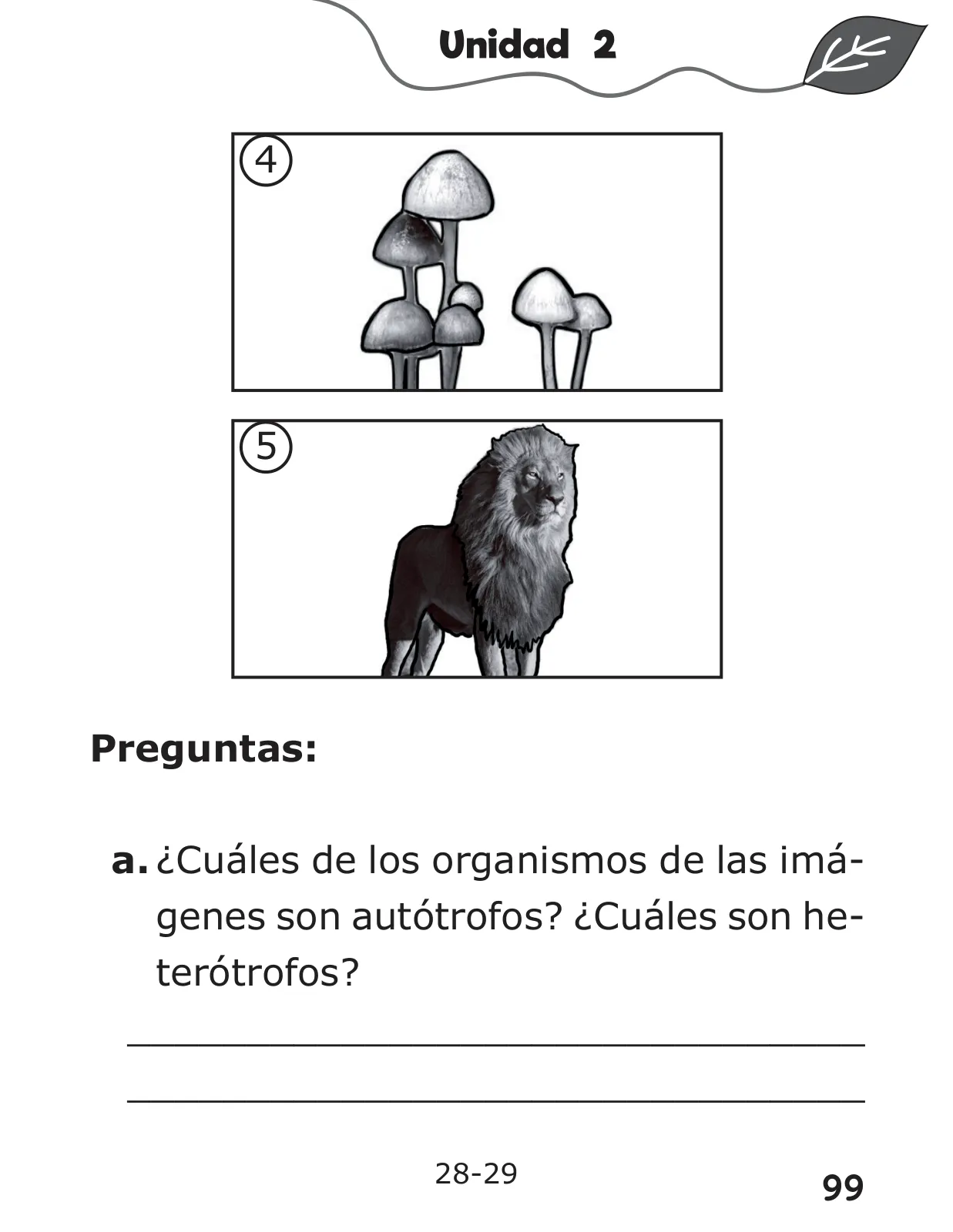 Página 99 de Libro de Ciencias Naturales – Quinto Básico | Texto del Estudiante MINEDUC – Descargar PDF · 2024