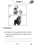 Miniatura página 99 de Libro de Ciencias Naturales – Quinto Básico | Texto del Estudiante MINEDUC – Descargar PDF · 2024