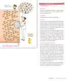 Miniatura página 17 de Sumo Primero – Segundo Básico | Texto del Estudiante MINEDUC – Descargar PDF · 2024