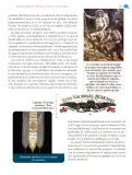 Miniatura página 192 de Nuestros saberes: México, grandeza y diversidad.   Libro de Educación Primaria Grado 4°  Ciclo Escolar 2025 - 2026
