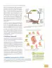 Miniatura página 22 de Ciencias Naturales 8° · Egb 8 Ciencias Naturales 2025 · 2025
