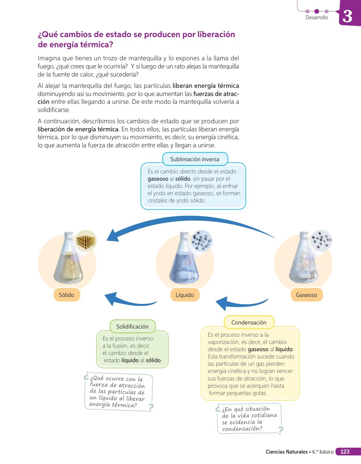 Página 286 de Libro de Ciencias Naturales – Quinto Básico | Texto del Estudiante MINEDUC – Descargar PDF · 2024