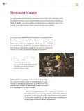 Miniatura página 39 de Colección Ximhai. De lo humano y lo comunitario.   Libro de Educación Secundaria Grado 1°  Ciclo Escolar 2025 - 2026