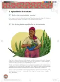 Miniatura página 142 de Etnoeducacion · Egb Elemental Etnoeducacion 2024 · 2024