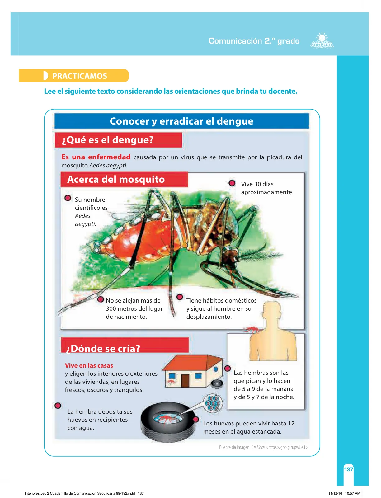 Miniatura página 137 de Comunicación Secundaria 2. Cuaderno de reforzamiento pedagógico - JEC · 2016