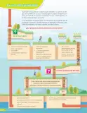 Miniatura página 21 de Lenguaje y Comunicación – Quinto Básico | Texto del Estudiante MINEDUC – Descargar PDF · 2024