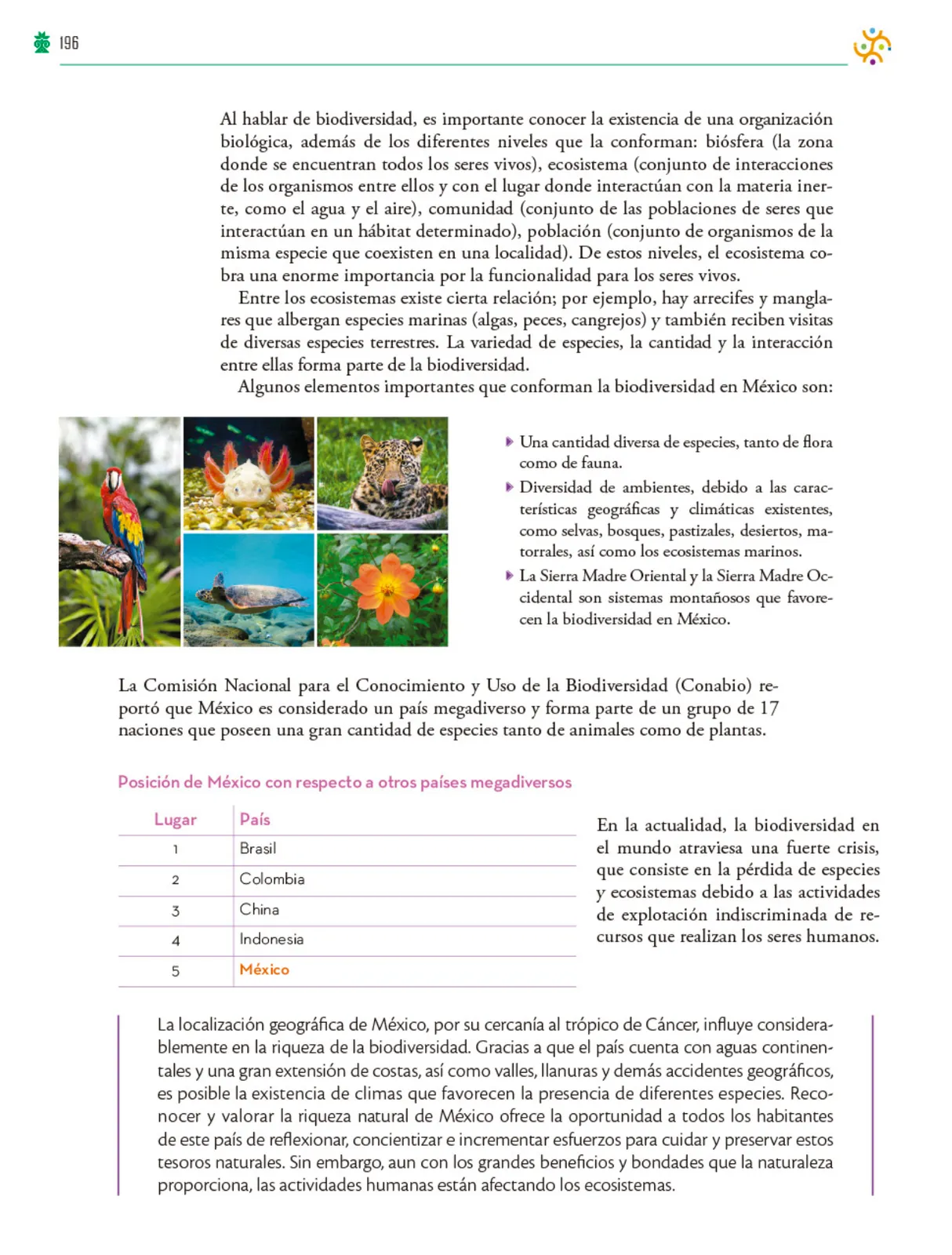 Página 197 de Colección Ximhai. Saberes y pensamiento científico. Libro de Educación Telesecundaria Grado 1° Ciclo Escolar 2025 - 2026