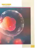 Miniatura página 50 de Ciencias Naturales 9° · 2025