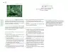 Miniatura página 195 de Posibilidades de trabajo para la acción transformadora y el codiseño. Ficheros. Fase 2  Libro de Educación Preescolar Grado 1°, 2°, 3°  Ciclo Escolar 2025 - 2026