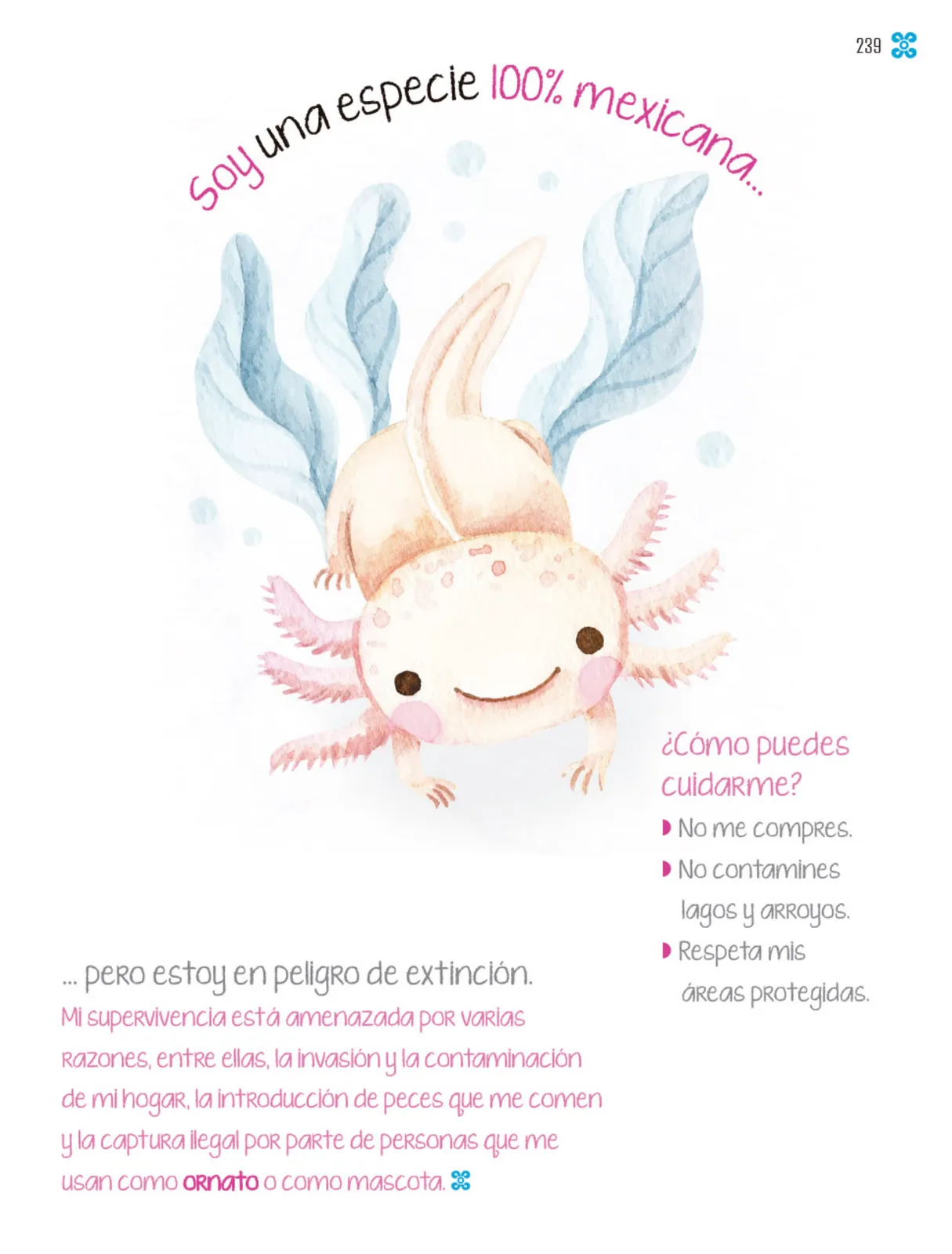 Miniatura página 240 de Múltiples lenguajes.   Libro de Educación Primaria Grado 1°  Ciclo Escolar 2025 - 2026