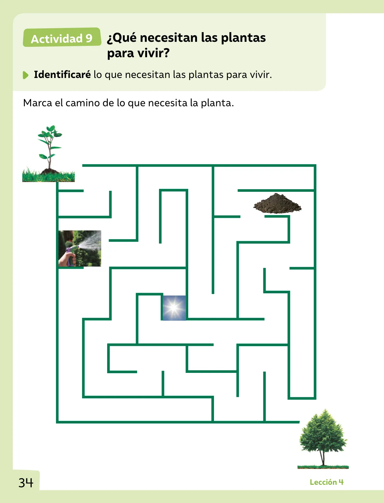 Página 35 de Ciencias Naturales – Primero Básico | Texto del Estudiante (MINEDUC) – Descargar PDF · 2024