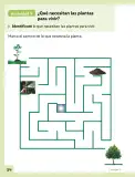 Miniatura página 35 de Ciencias Naturales – Primero Básico | Texto del Estudiante (MINEDUC) – Descargar PDF · 2024