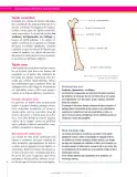 Miniatura página 34 de Ciencias Naturales 7° · Secundaria Activa