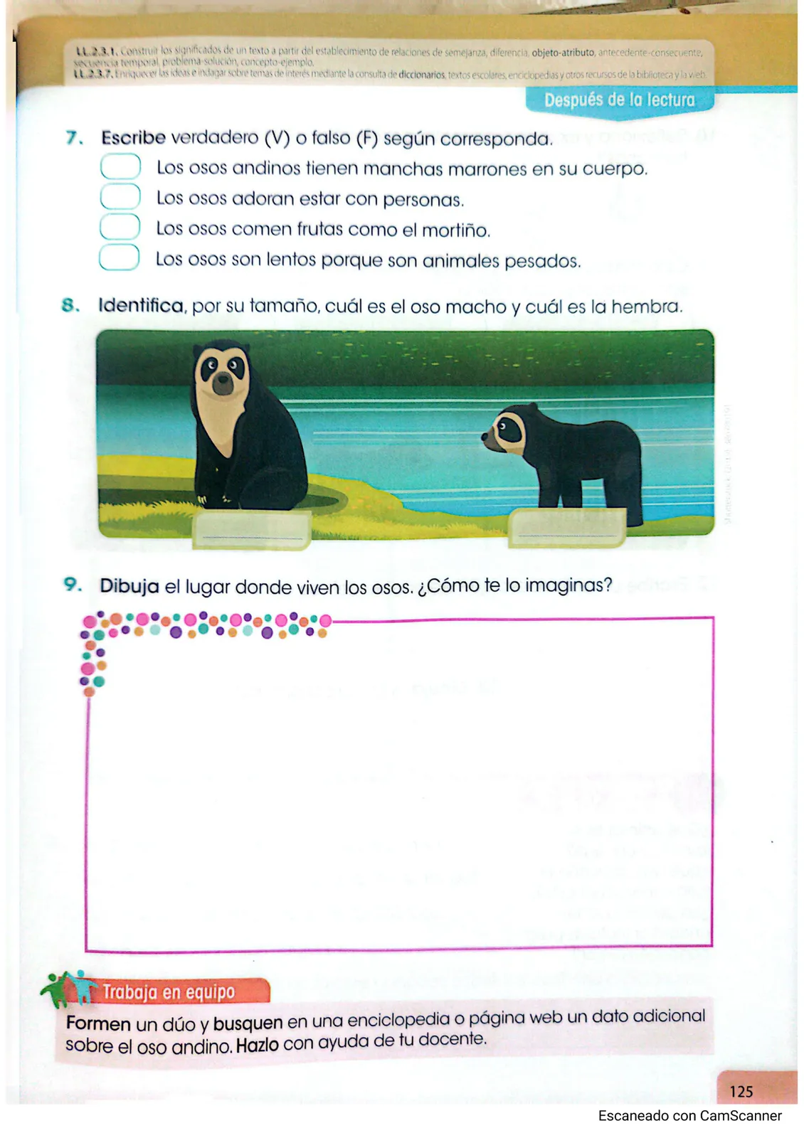 Pág 119