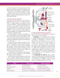 Miniatura página 185 de Ciencias Naturales 8° · Secundaria Activa