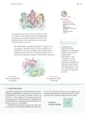 Miniatura página 48 de Nuestros saberes: Libro para alumnos, maestros y familia.   Libro de Educación Primaria Grado 6°  Ciclo Escolar 2025 - 2026