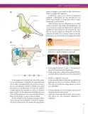 Miniatura página 83 de Ciencias Naturales 7° · Secundaria Activa