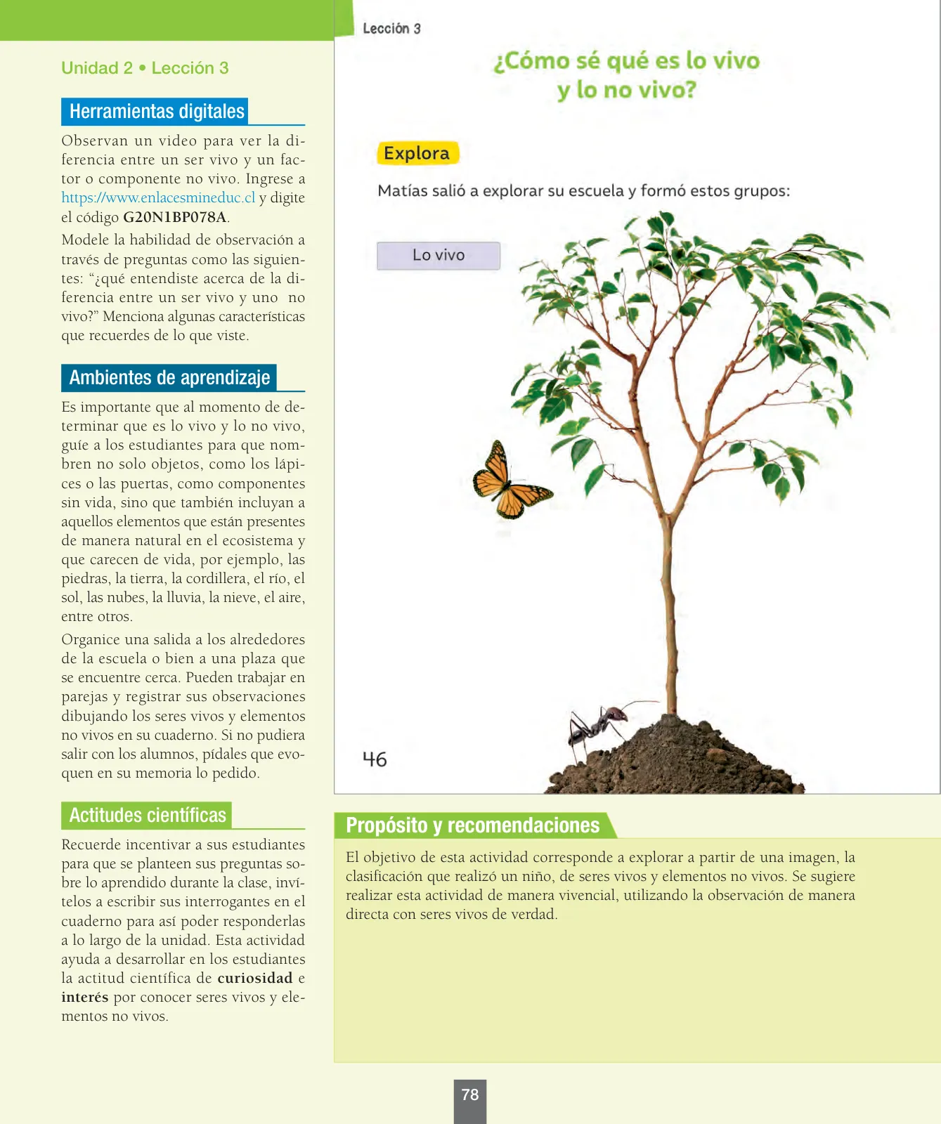 Página 79 de Ciencias Naturales – Primero Básico | Texto del Estudiante (MINEDUC) – Descargar PDF · 2024