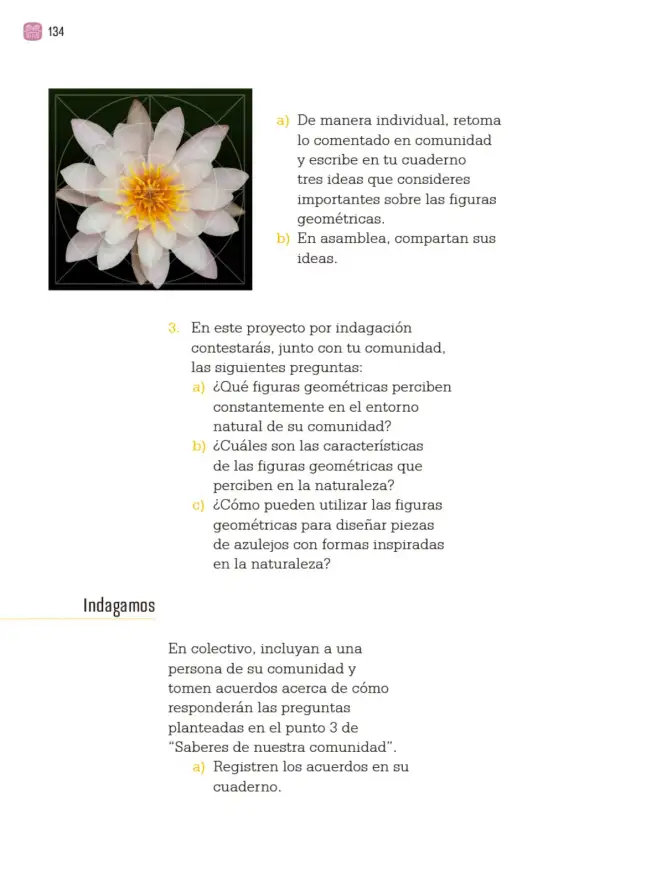 Página 137 de Proyectos Comunitarios. Libro de Educación Primaria Grado 3° Ciclo Escolar 2025 - 2026