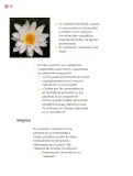 Miniatura página 137 de Proyectos Comunitarios.   Libro de Educación Primaria Grado 3°  Ciclo Escolar 2025 - 2026