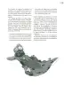 Miniatura página 14 de Crianza para la libertad. Libro para las familias. Fase 2  Libro de Educación Preescolar Grado 1°, 2°, 3°  Ciclo Escolar 2025 - 2026