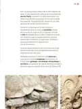 Miniatura página 214 de Múltiples lenguajes.   Libro de Educación Primaria Grado 4°  Ciclo Escolar 2025 - 2026