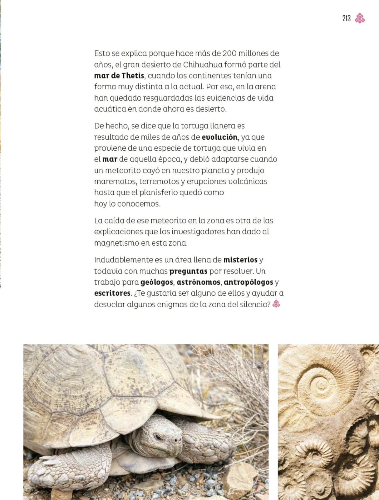 Página 214