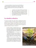 Miniatura página 228 de Colección Nanahuatzin. Lenguajes.   Libro de Educación Secundaria Grado 3°  Ciclo Escolar 2025 - 2026
