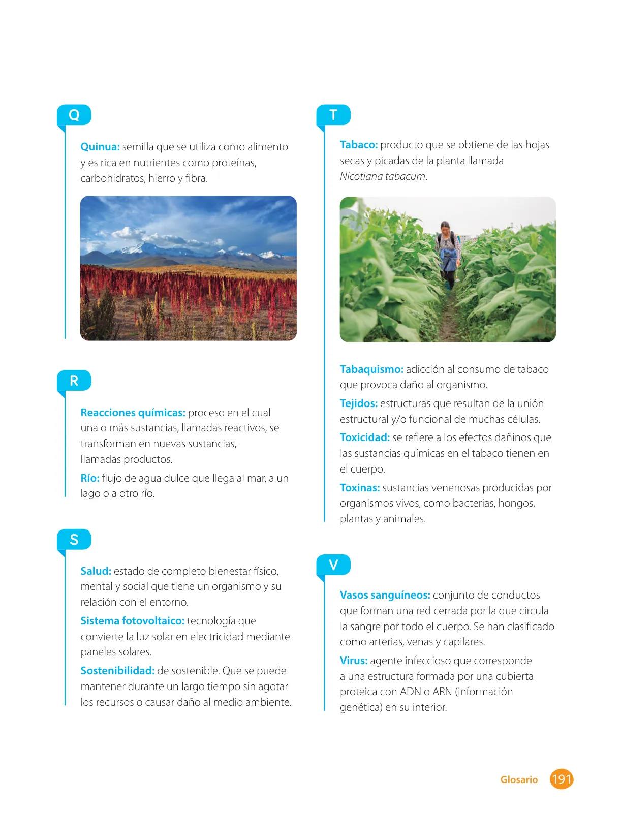 Página 193 de Libro de Ciencias Naturales – Quinto Básico | Texto del Estudiante MINEDUC – Descargar PDF · 2024