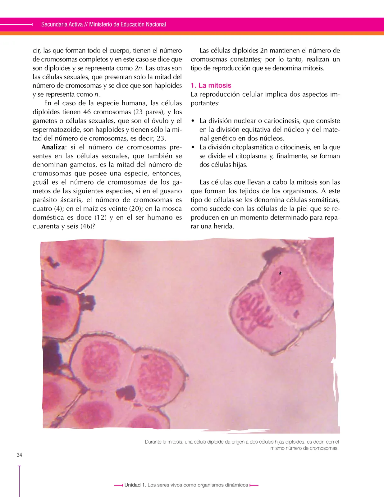 Página 34 de Ciencias Naturales 8° · Secundaria Activa