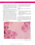 Miniatura página 34 de Ciencias Naturales 8° · Secundaria Activa
