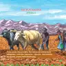 Miniatura página 13 de Llaqtaypa Kawsayninkuna. Saberes de los pueblos - 4° Primaria - Quechua chanka · 2023