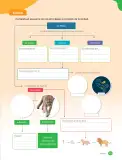 Miniatura página 107 de Libro de Ciencias Naturales – Quinto Básico | Texto del Estudiante MINEDUC – Descargar PDF · 2024