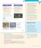 Miniatura página 41 de Lenguaje y Comunicación – Segundo Básico – Texto del Estudiante MINEDUC – Descargar PDF · 2024