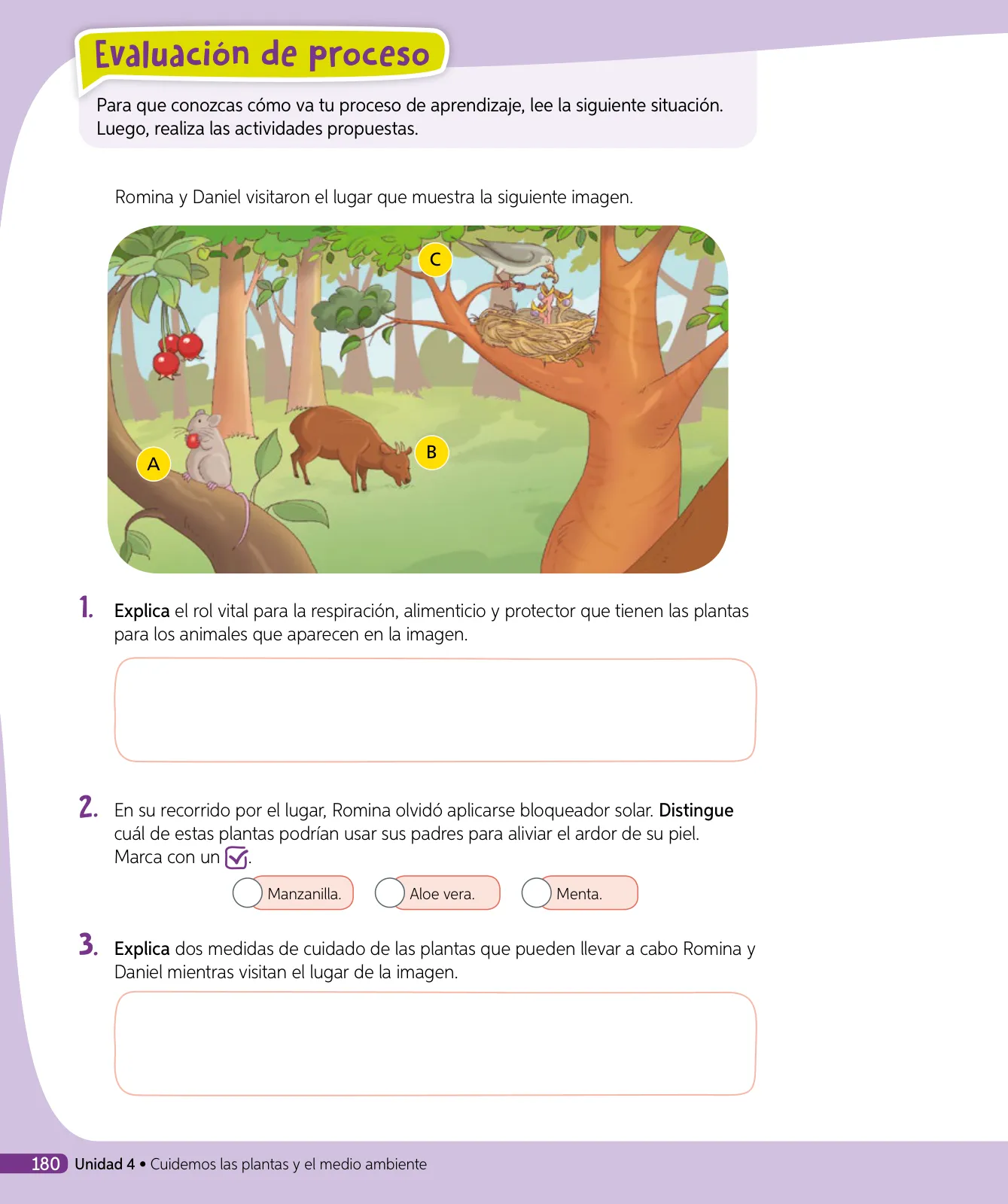 Miniatura página 157 de Ciencias Naturales – Tercero Básico | Texto del Estudiante MINEDUC – Descargar PDF · 2024
