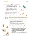 Miniatura página 54 de Proyectos Comunitarios.   Libro de Educación Primaria Grado 5°  Ciclo Escolar 2025 - 2026