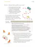 Miniatura página 54 de Proyectos Comunitarios.   Libro de Educación Primaria Grado 5°  Ciclo Escolar 2025 - 2026
