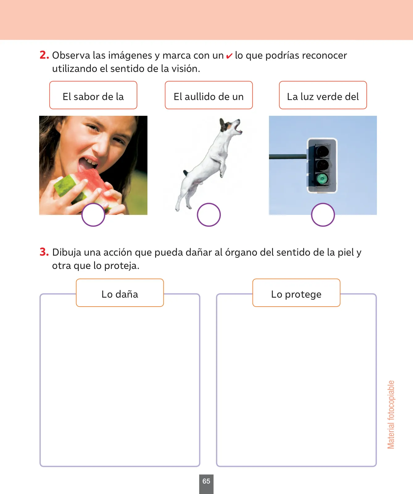 Miniatura página 66 de Ciencias Naturales – Primero Básico | Texto del Estudiante (MINEDUC) – Descargar PDF · 2024