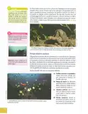 Miniatura página 129 de Ciencias Naturales 9° · 2025