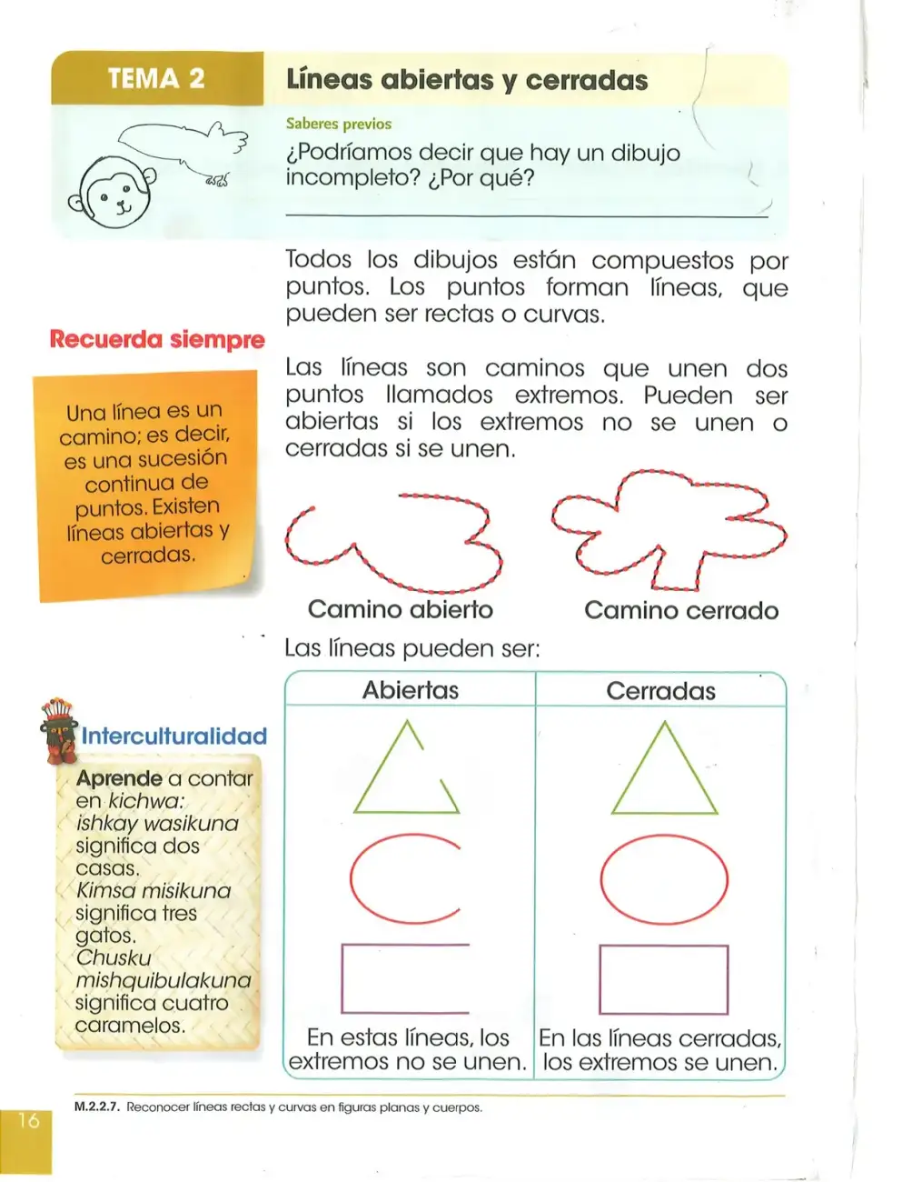 Página 17