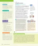 Miniatura página 117 de Historia, Geografía y Ciencias Sociales – Séptimo Básico | Texto del Estudiante MINEDUC – Descargar PDF · 2024