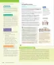 Miniatura página 117 de Historia, Geografía y Ciencias Sociales – Séptimo Básico | Texto del Estudiante MINEDUC – Descargar PDF · 2024