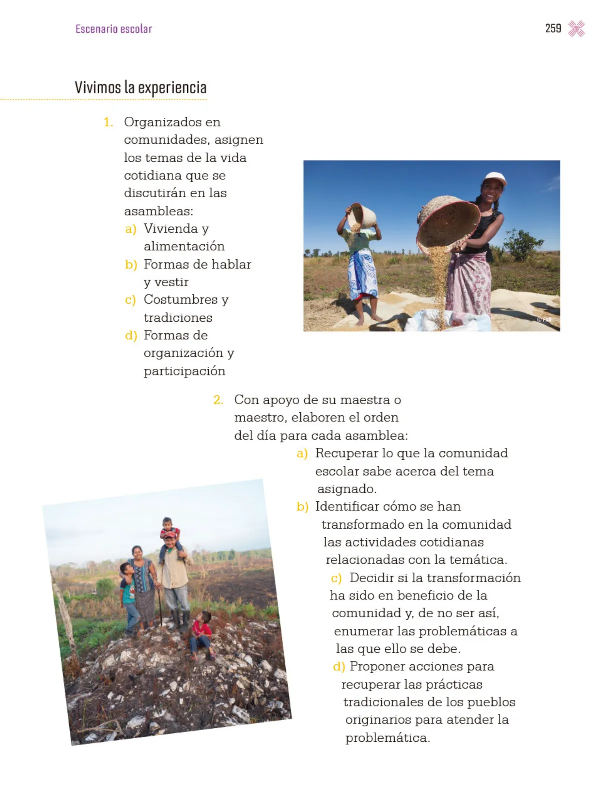 Página 262 de Proyectos Escolares.   Libro de Educación Primaria Grado 3°  Ciclo Escolar 2025 - 2026