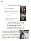 Miniatura página 275 de Colección Nanahuatzin. Ética, naturaleza y sociedades.   Libro de Educación Secundaria Grado 3°  Ciclo Escolar 2025 - 2026