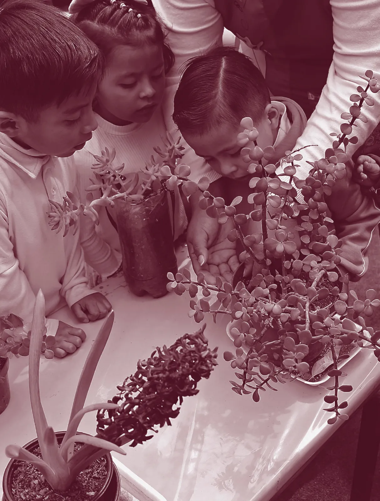 Página 129 de Un libro sin recetas para la maestra y el maestro. Fase 2 Libro de Educación Preescolar Grado 1°, 2°, 3° Ciclo Escolar 2025 - 2026